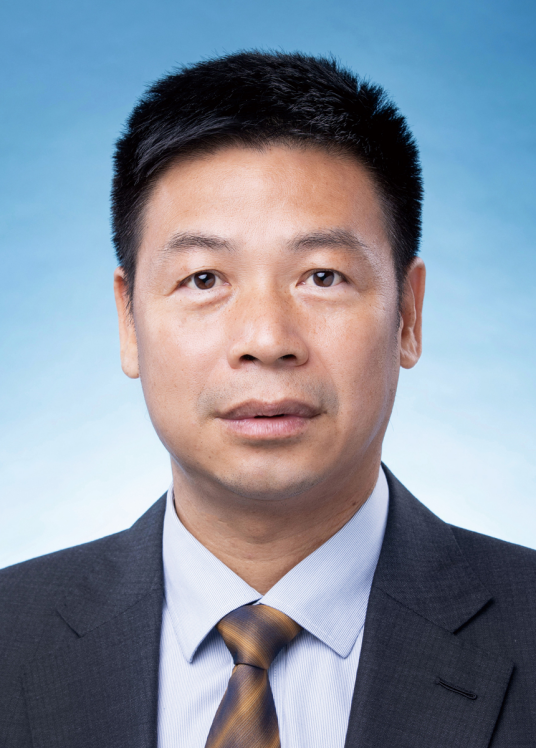 覃卫国（安徽省人民政府副省长、党组成员，省公安厅党委书记、厅长，淮北市委书记）