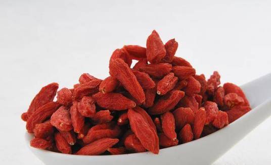 枸杞(茄科枸杞属植物)