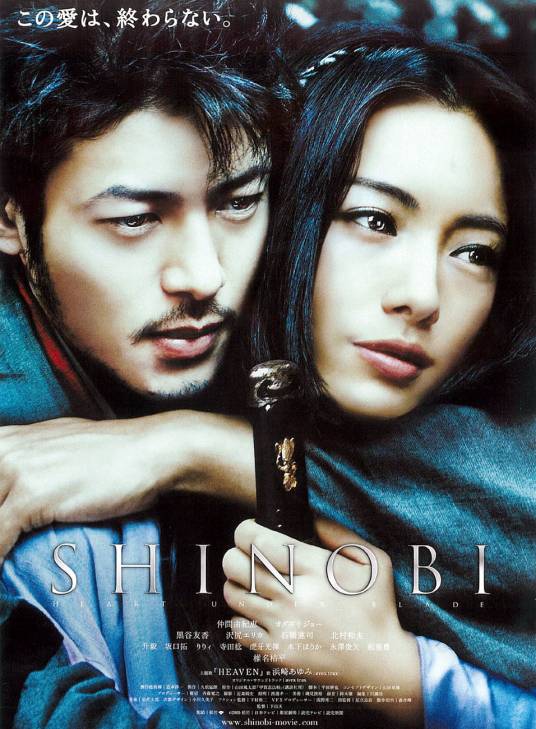 甲贺忍法帖(日本2005年下山天执导电影)