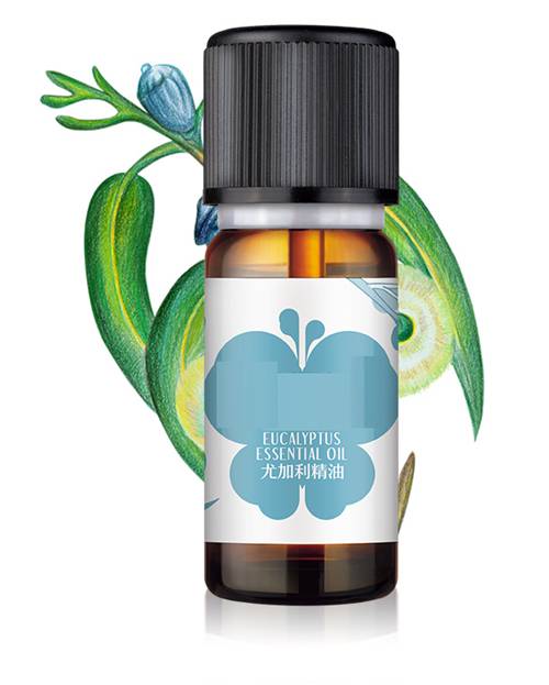 尤加利精油