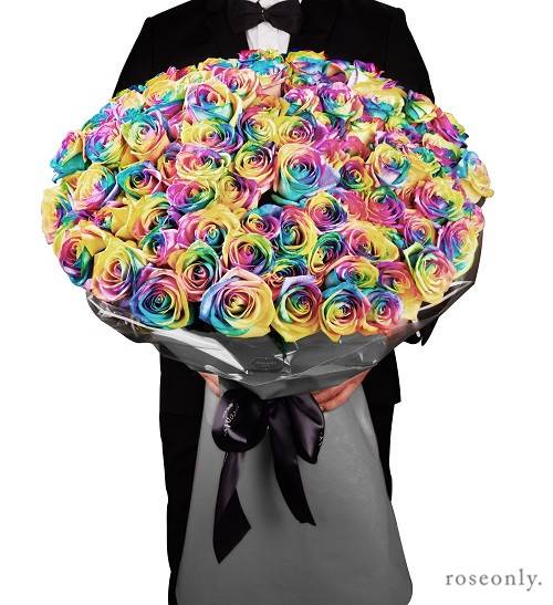 彩虹玫瑰(玫瑰类型花瓣呈现出多种颜色的玫瑰)