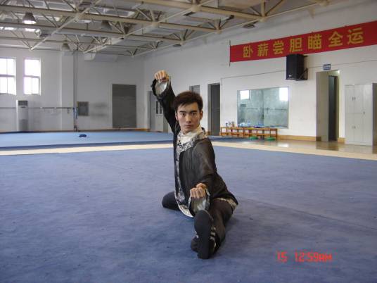 张振兴（河南郑州籍武术运动员）