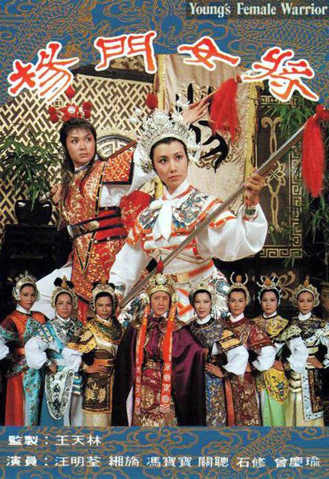 杨门女将（1981年王天林执导的古装历史剧）
