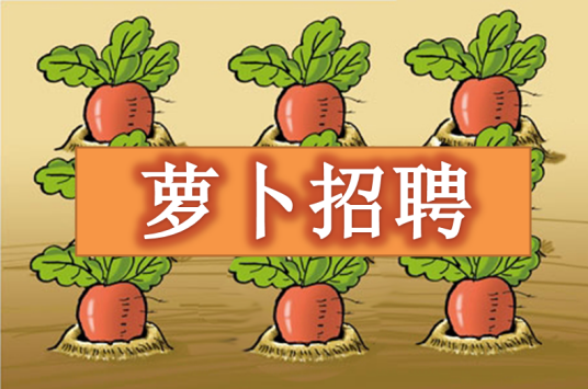 “萝卜”招聘