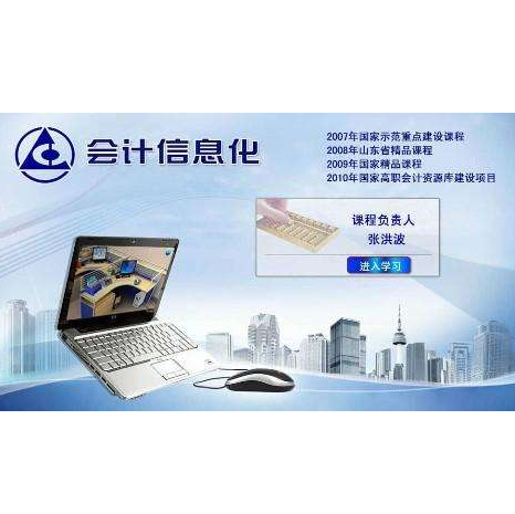 会计信息化（概念）