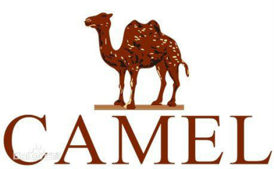 广东骆驼服饰有限公司