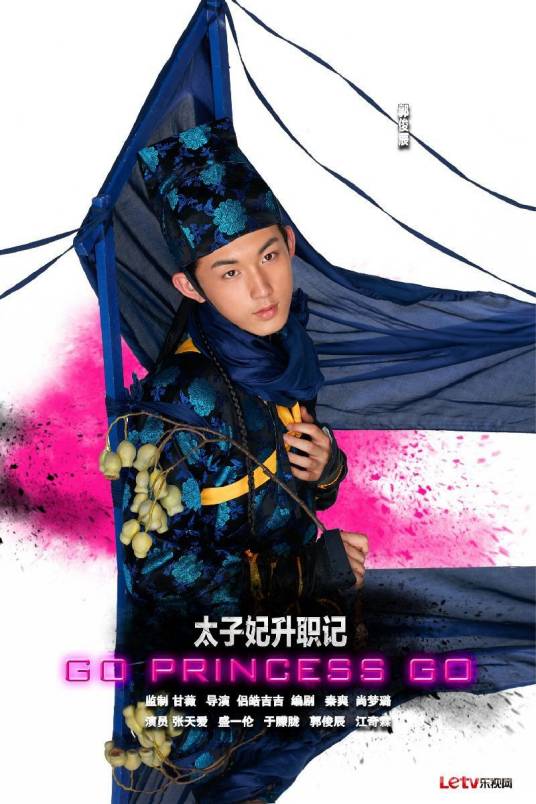 杨严（小说《太子妃升职记》中人物）