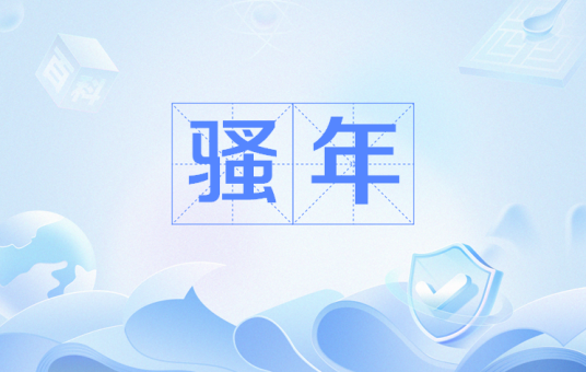 骚年（网络流行词）