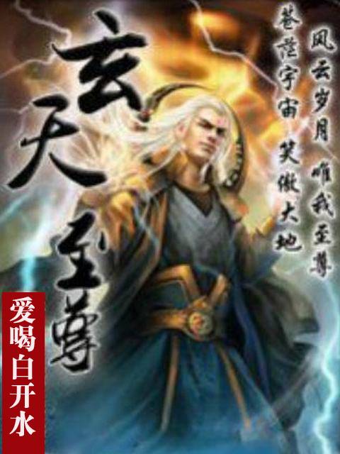 玄天至尊(爱喝白开水创作的网络小说)