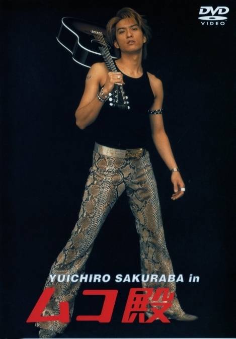 女婿大人(日本2001年木村达昭执导的家庭喜剧)