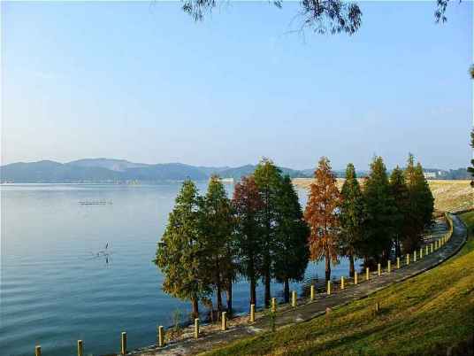 凤凰湖(成都市青白江区广大路的景点)