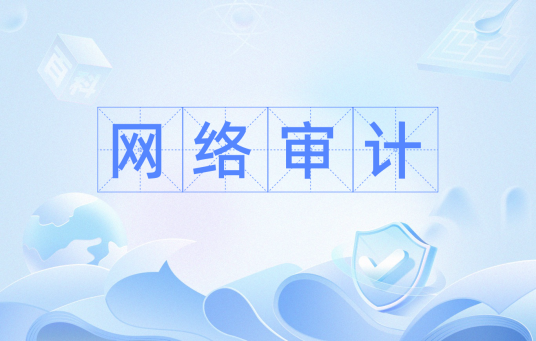 网络审计