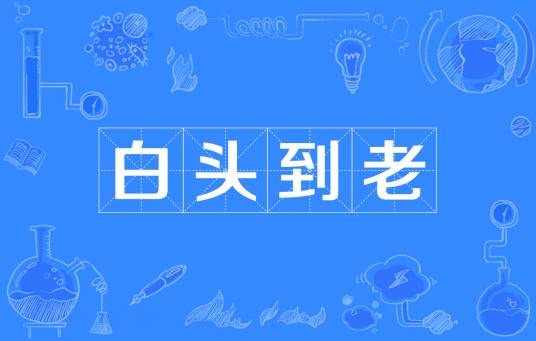 白头到老（成语）