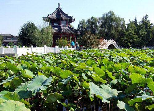 保定莲池