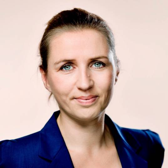 梅特·弗雷泽里克森