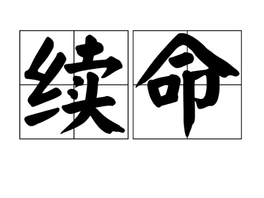 续命（汉语词语）