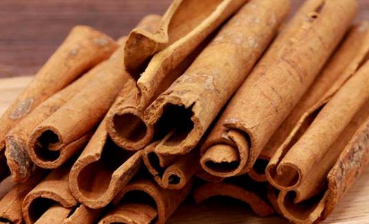 柴桂（樟科樟属植物）