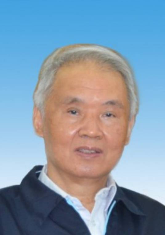 李忠杰（著名理论家和历史学家、中共党史学会副会长）