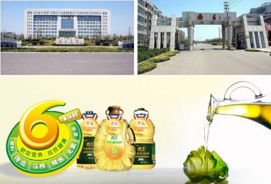 西王村（山东省滨州市邹平市韩店镇下辖村）