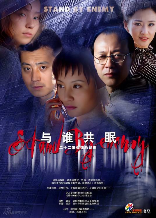 与敌共眠（柳国庆执导的电视剧）