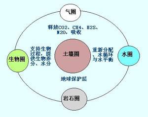 土壤学（农业科学基础学科）