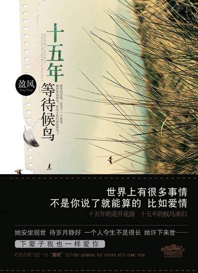十五年等待候鸟（2010年江苏文艺出版社出版的图书）
