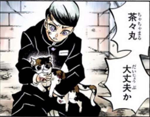 茶茶丸（日本漫画《鬼灭之刃》及其衍生作品中的角色）