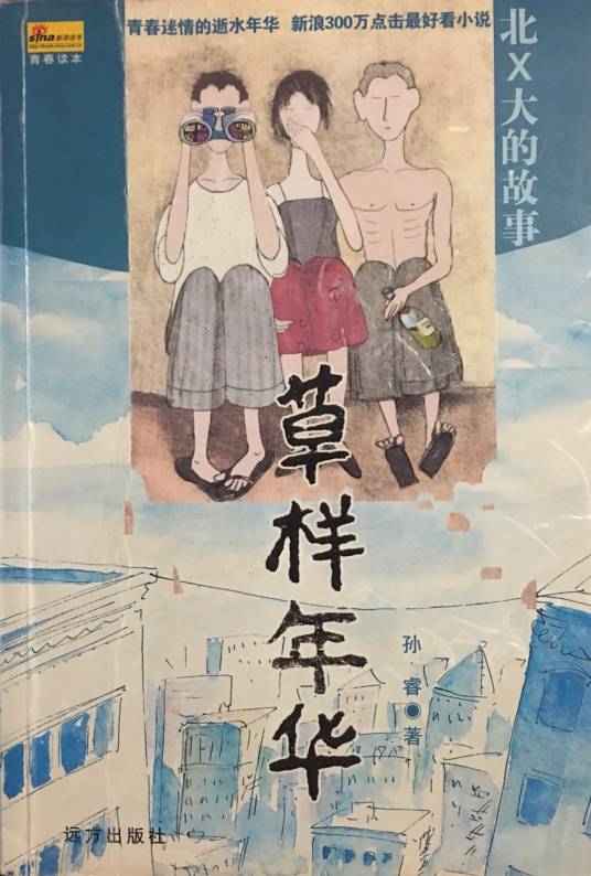 草样年华（2004年远方出版社出版的图书）