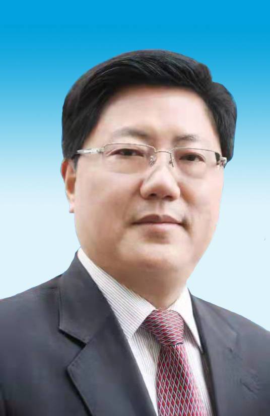 何平（四川省第十四届人大常委会委员）