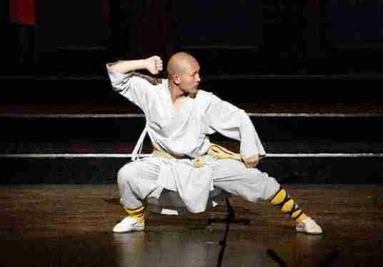 少林拳（中国传统武术拳法）