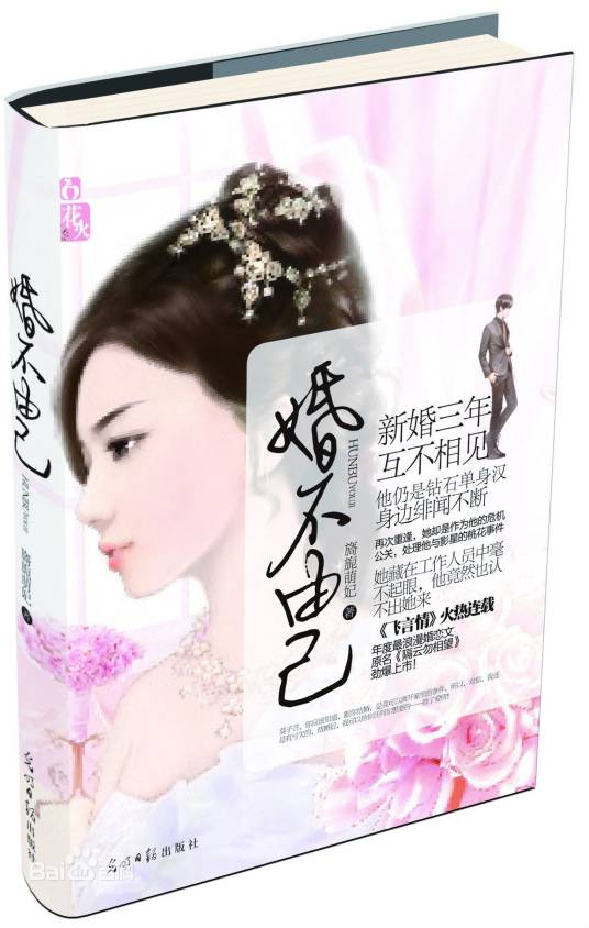 婚不由己(2012年光明日报出版社出版的图书)