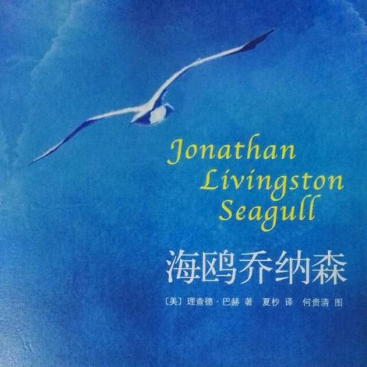 海鸥乔纳森（2009年11月南海出版社出版的图书）