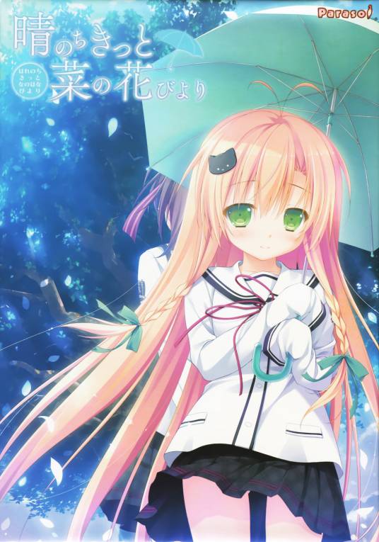 晴霁之后定是菜花盛开的好天气