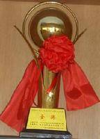 中国建筑工程钢结构金奖