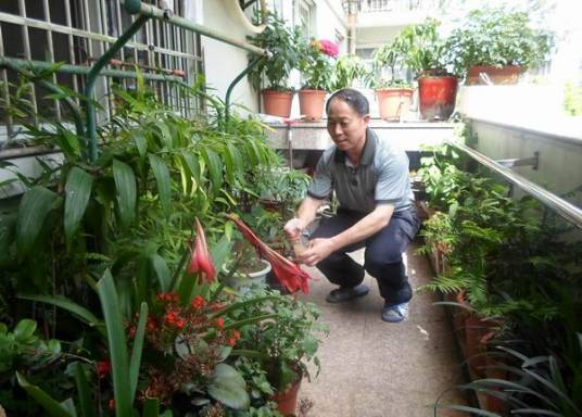 花匠（职业名称）