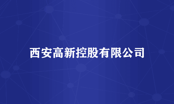 西安高新控股有限公司