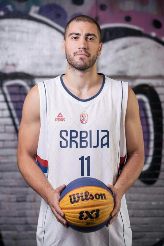 杜桑·多莫维奇·布鲁特