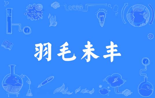 羽毛未丰(汉语成语)