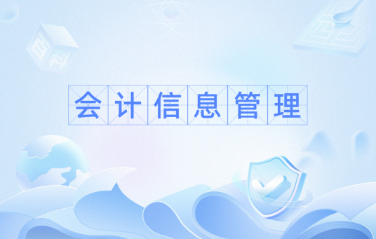 会计信息管理（会计学名词）