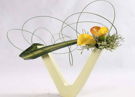 自由花（文化术语）