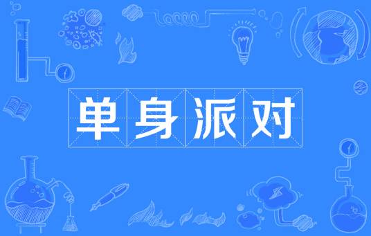 单身派对(定义)