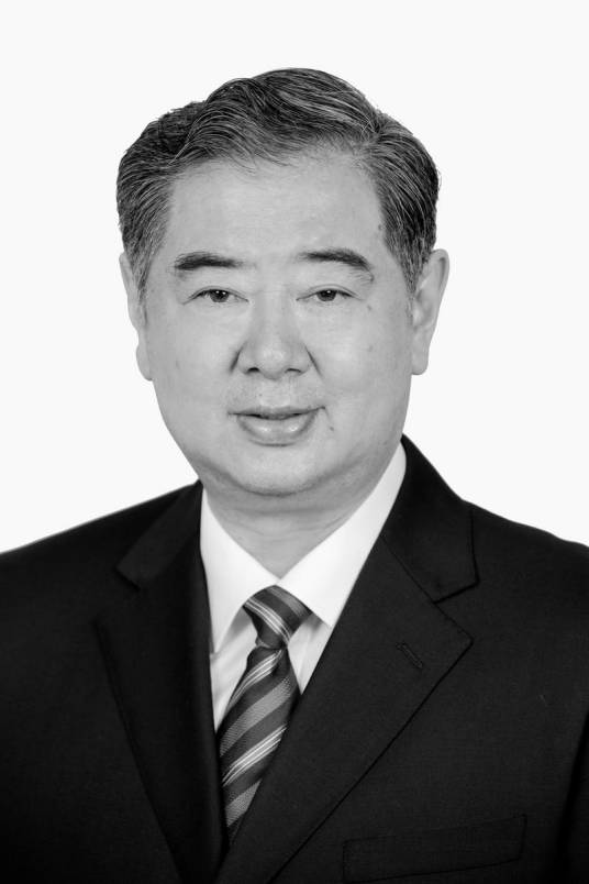 王军民(山东省委原副书记)