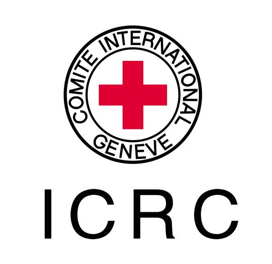 红十字国际委员会
