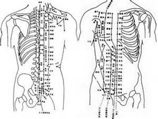 十五络脉（经络理论）