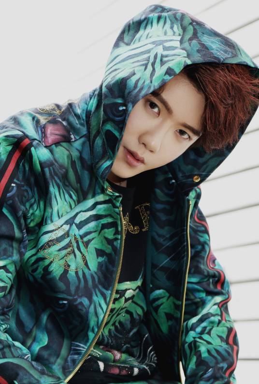 陈骁（中国内地男歌手）