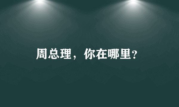 周总理，你在哪里？