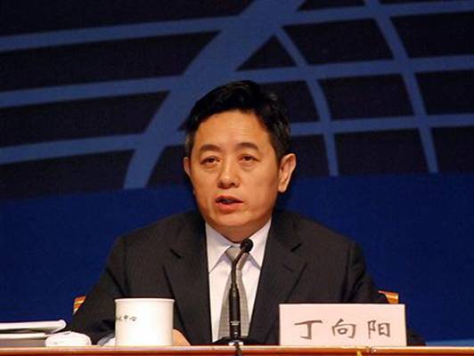 丁向阳（国务院原副秘书长）