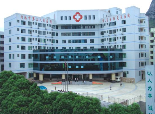 河池市第三人民医院
