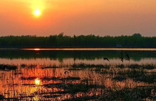 黄河故道(曹县黄河故道)