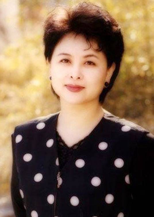 肖晓琳(前中央电视台节目主持人)